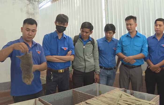 Hành trình khởi nghiệp - Khởi nghiệp từ nuôi dúi (15-06-2020)